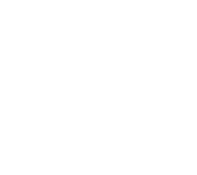 Coiffure no limit logo blanc